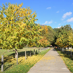 DSC_1878.JPG