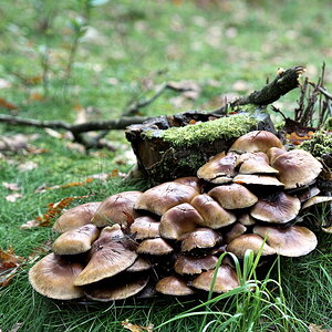 DFX_3969.jpg