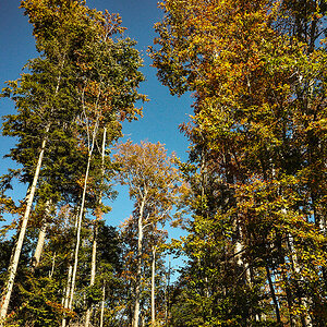 PA140093.jpg
