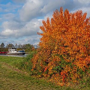 Herbst am ESK-1.jpg