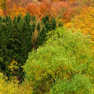 Herbst.jpg