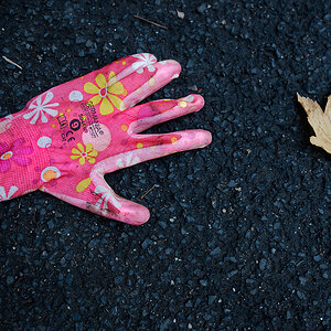 DSC_1003-1.jpg