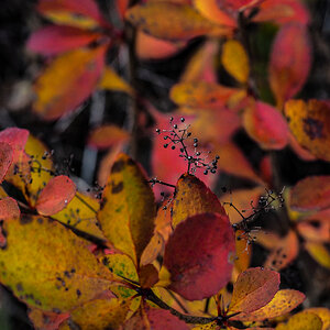 PB110128.jpg