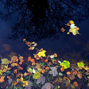 Herbst.jpg