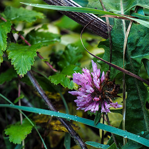 PB110133.jpg