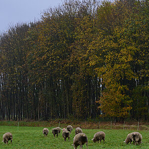 811_8507at5l10s50p1.jpg