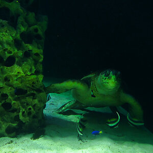 DSC_9714.jpg