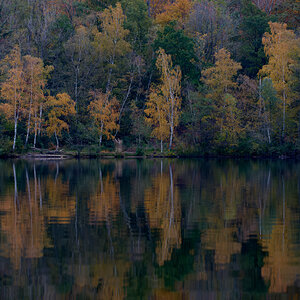 DSC_1437.jpg