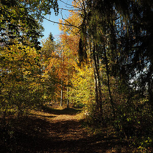 PA140044.jpg