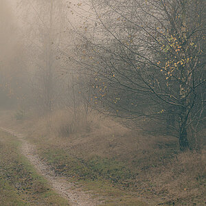 Mein Weg