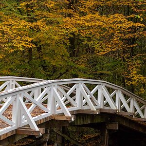 Herbstbrücke 2.jpg