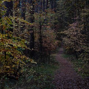 Novemberspaziergang.jpg