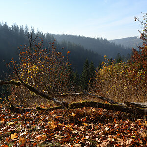 DSC_9172.JPG