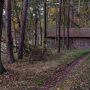 Maschinenschuppen im Wald.jpg