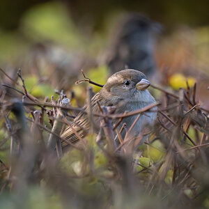 P1040330-2.jpg