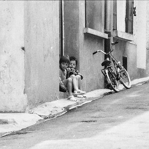 P1220784.jpg
