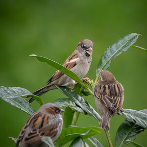 P1028942-2.jpg