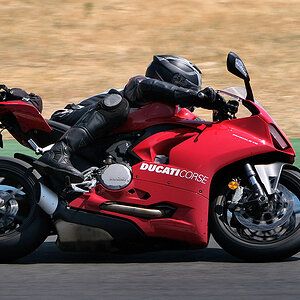 Duc_s.jpg