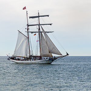 OF2_65510.jpg