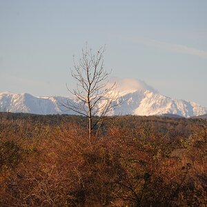 DSC_6849jc.jpg