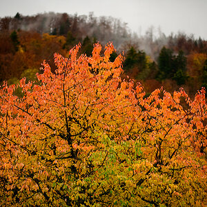 Herbst.jpg
