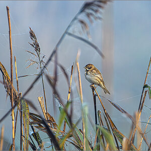 25-D50_0211-Verbessert-RR.jpg