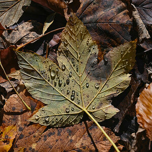 Herbstzeit