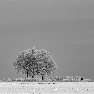 D50_8766.jpg