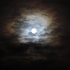 Dunkel war´s, der Mond .jpg