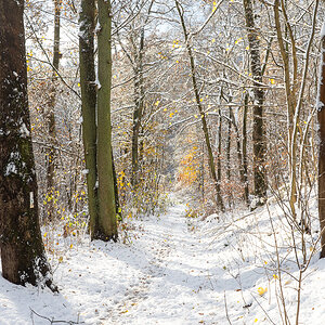 Der zweite Wintertag