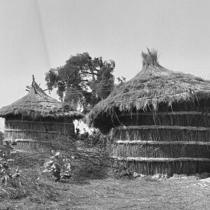 Indien1976-124.jpg