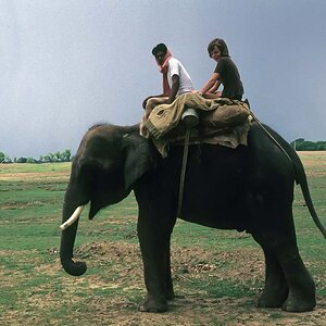 Indien1976-197.jpg