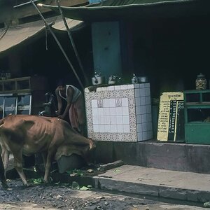 Indien1976-213.jpg
