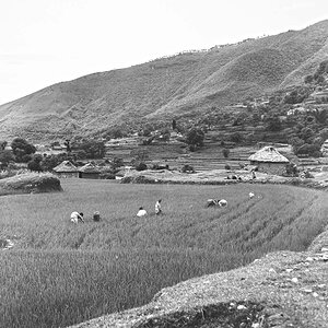 Indien1976-46.jpg