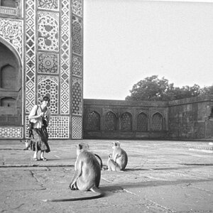 Indien1976-97.jpg