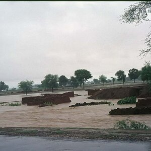 Indien1976-327.jpg