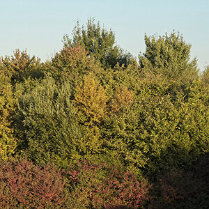 _DSF5642_DxOPAxl.jpg