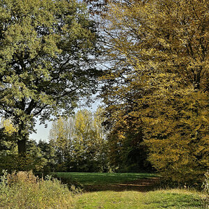 DSC_0978_DxOxl.jpg