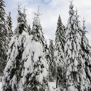 unbenannt-5580.jpg