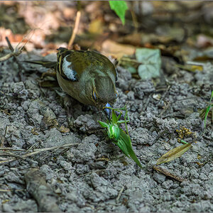 D50_8898-Verbessert-RR.jpg