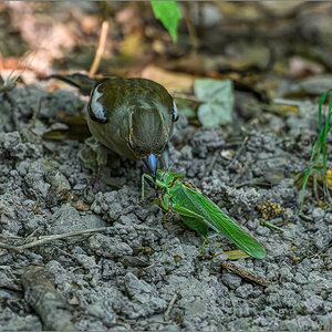D50_8885-Verbessert-RR.jpg
