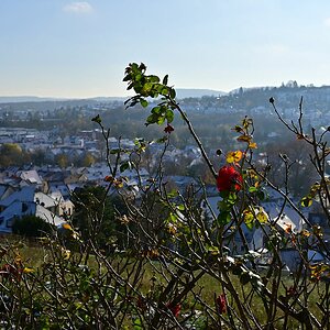 Herbst wird Winter.jpg
