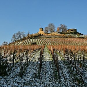 Wengert im Winterschlaf.jpg