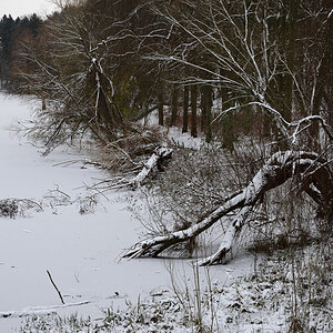 DSC_9316.JPG