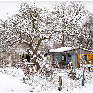 Schrebergarten im November – Schneedecke