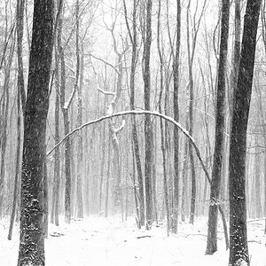 Winter im Taunus