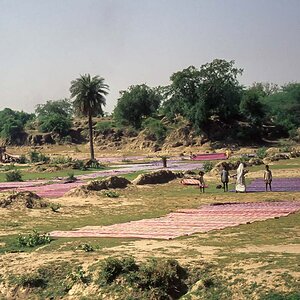 Indien1976-250.jpg
