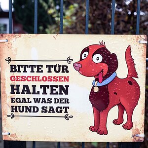 Hundetür.jpg