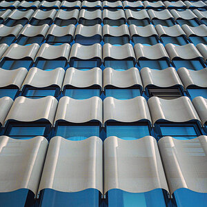 IMG_20231211_024358_624 (1).jpg