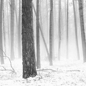 Schneenebel BW.jpg